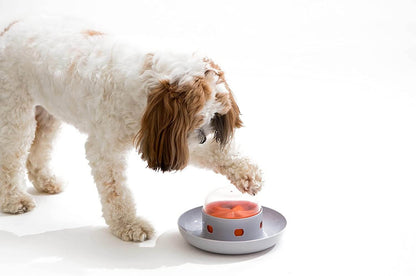 🐕Spaceship Slow Feeder🍄