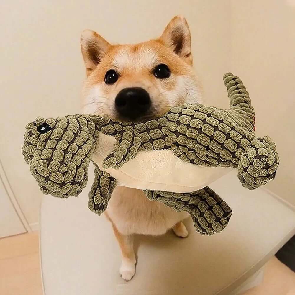 Indestructible Chew Dino - Dog Toy 2.0 Upgrade Version